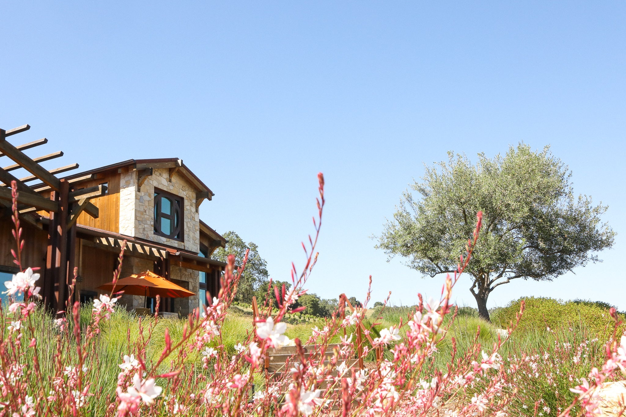 Halter Ranch Estate: Live Music - Speaking of Roses