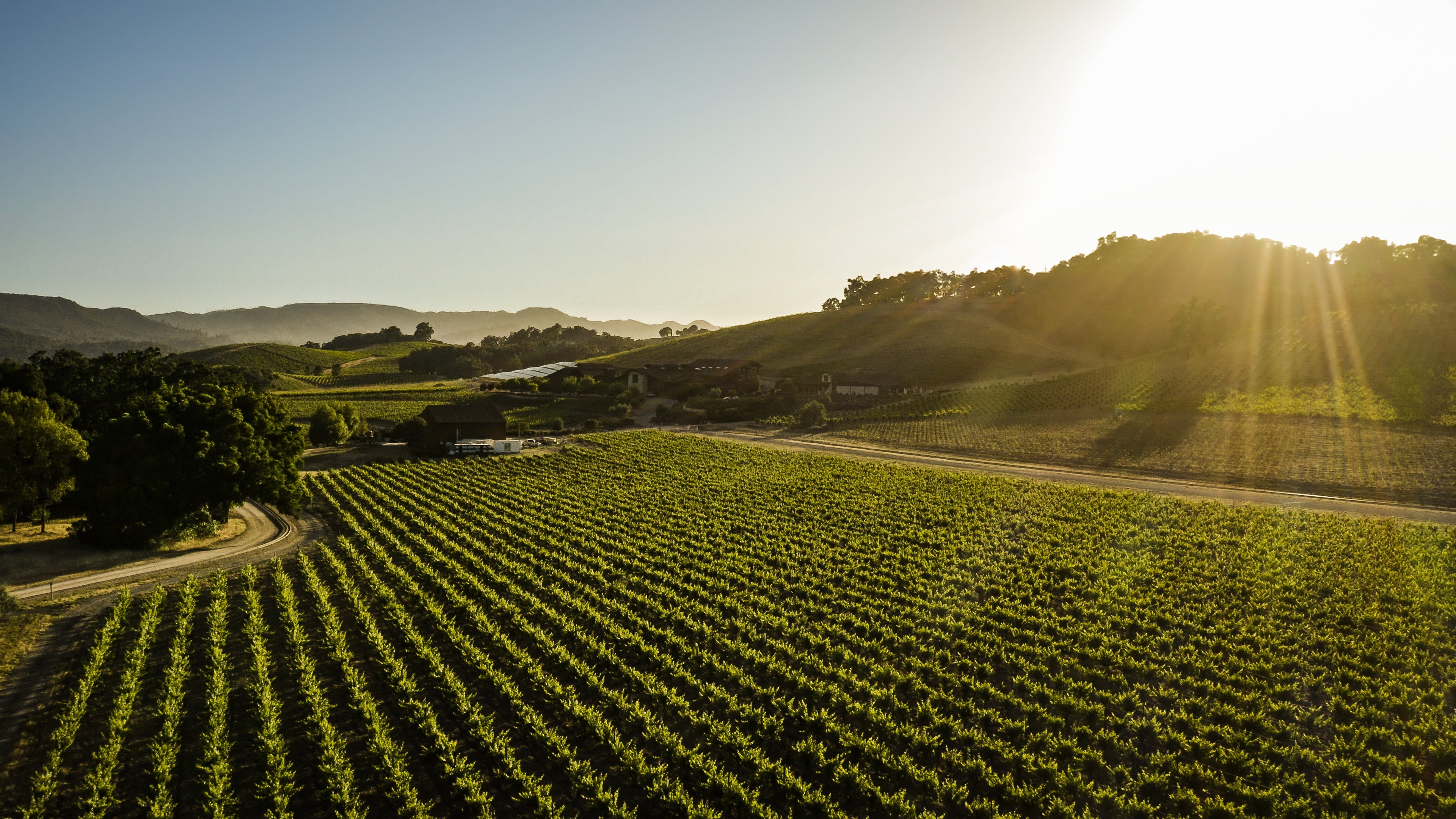 Paso Robles Wine Tasting Tour: Fresno