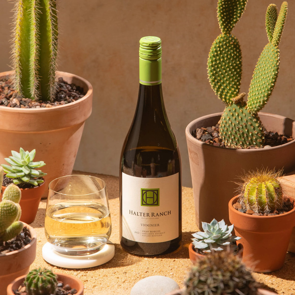 6 of Our Favorite White Wine Varietals in Paso Robles